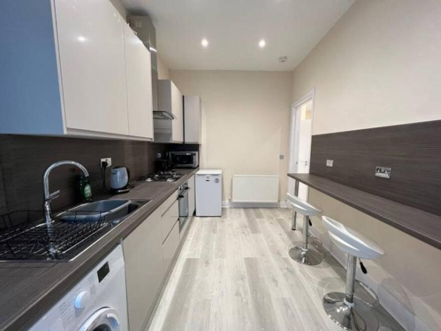 Lovely 4 bedroom 2nd floor walk up apartment - 愛丁堡
