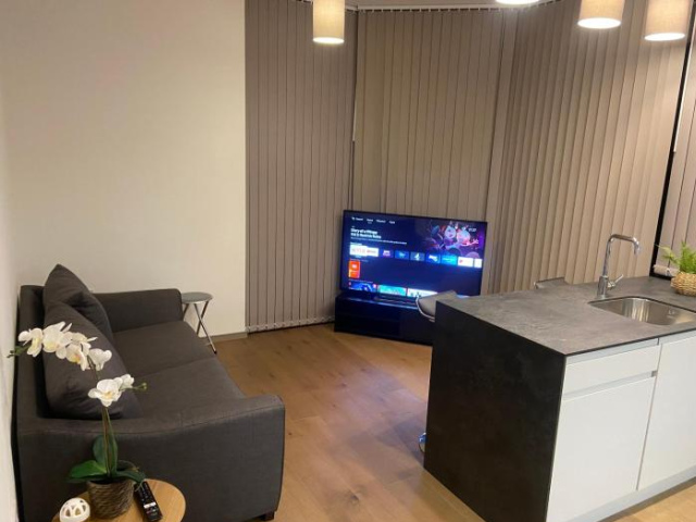 New Modern Apartment near Heathrow Airport - 希斯羅