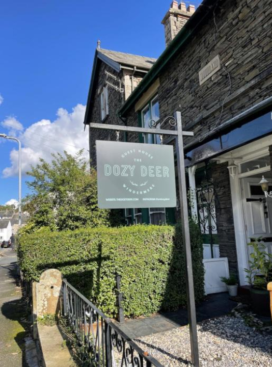 The Dozy Deer - Windermere