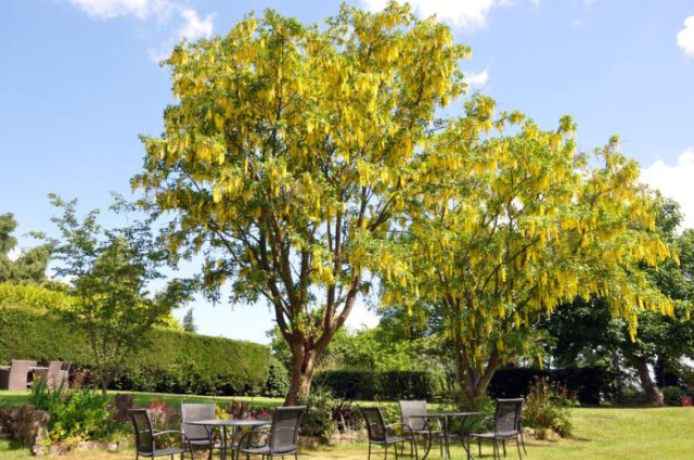 Bridleways Guesthouse & Holiday Homes - England
