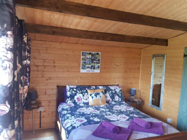 Country Bumpkin - Romantic Couples stay in Oakhill Cabin - 薩默塞特