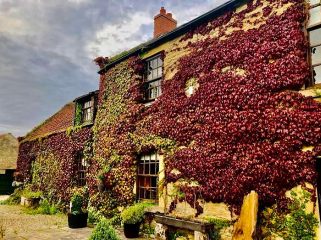 The Manor - North Yorkshire