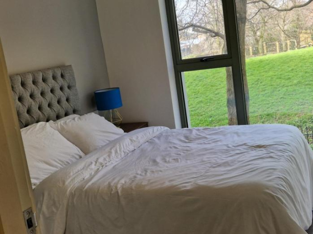 Luxurious Deluxe 1 bedroom Apartment Liverpool sleep upto 4 people near Lime street Station and city - 利物浦