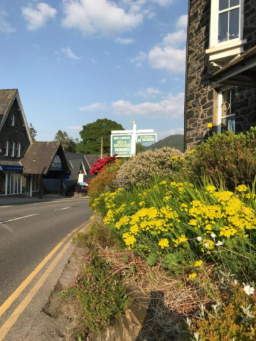 Bryn Llewelyn Bed and Breakfast