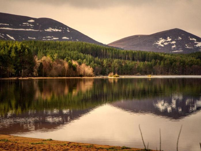 Glen Rossie Country Cottage - Aviemore