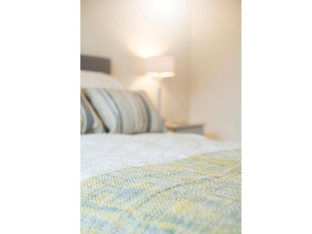 Modern house close to Stadiums & Centre w/parking - Cardiff