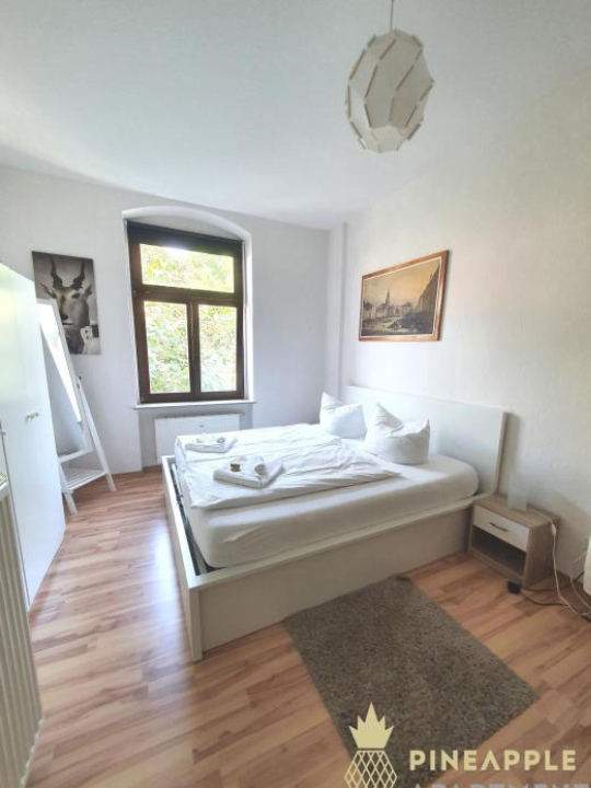 Pineapple Apartments Dresden Zwinger - 德勒斯登