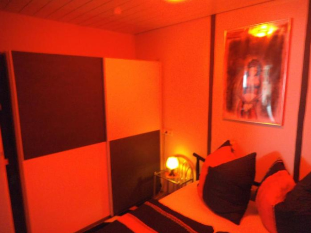 Exclusiv-Mietapartment (BDSM)-Heidelberg - Heidelberg