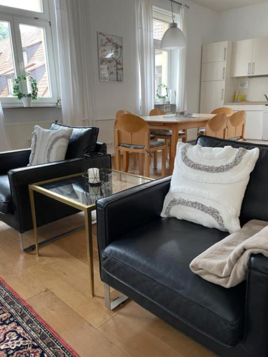 Luxury Old Town Suite - XXL Terrasse & XXL Penthouse - Heidelberg