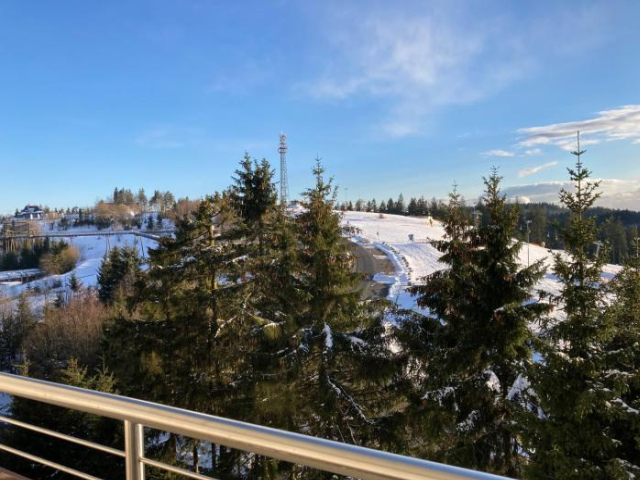Weltringpark 2-D - Winterberg