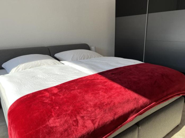 Luxus City Apartment - Baden-Baden