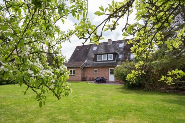 Ferienhaus-Frieseneiche - Sankt Peter-Ording
