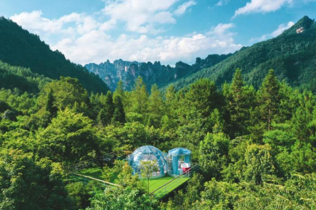 Forest Glass Inn - Hunan