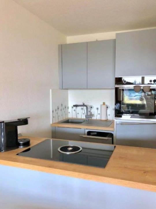 Ferienwohnung Harz Hohegeiß App 424 - 布勞恩拉格