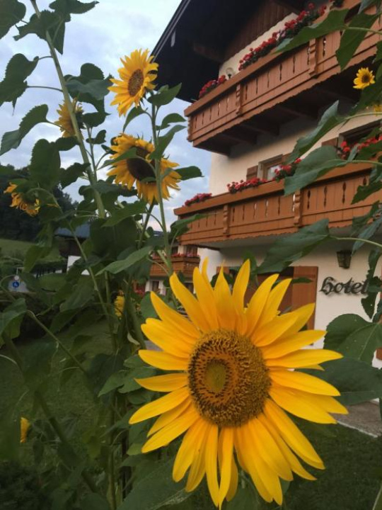 Weihba Apartment - Berchtesgaden