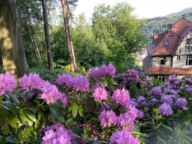 Villa Sonnenburg - Bad Schandau