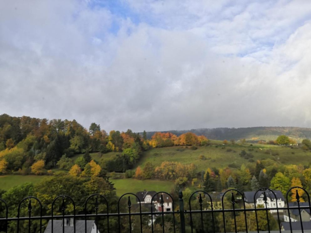 Chalet BERGgrün Willingen - Willingen