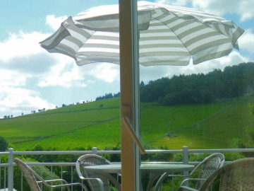 Elegant Apartment in Willingen with Balcony