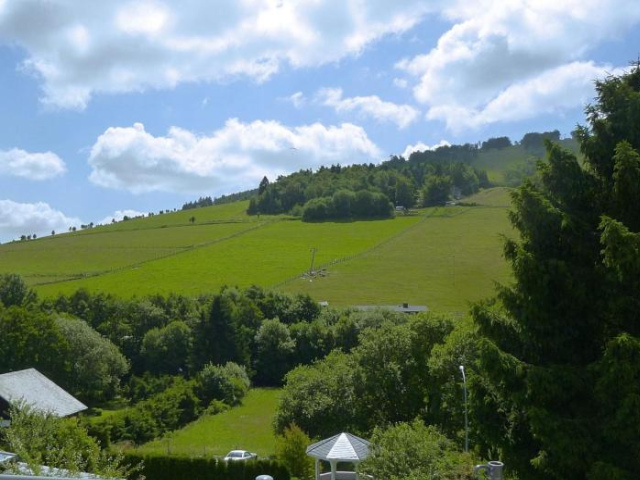 Beautiful Apartment in Willingen with a Balcony - 維林根
