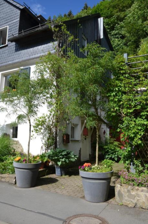 Willingen Bridge Apartment - Willingen