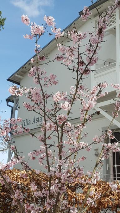 Villa Asta - Ostseebad Binz