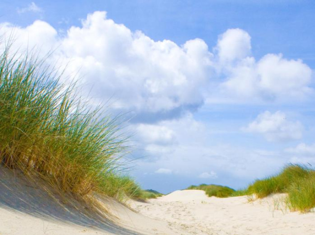 Standortel Menbi Organic Hotel - Westerland