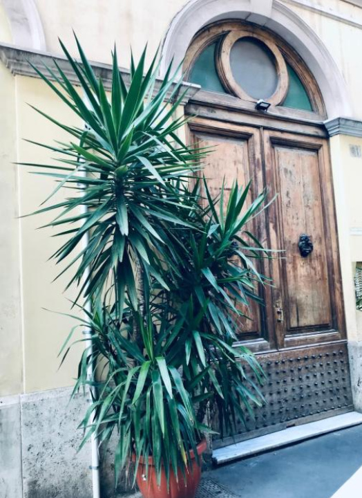 Roma Danoi Suite Hotel - Rome