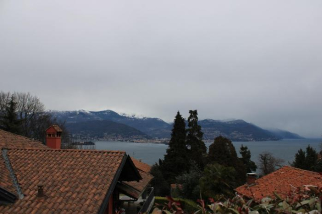 Pettirosso - Stresa