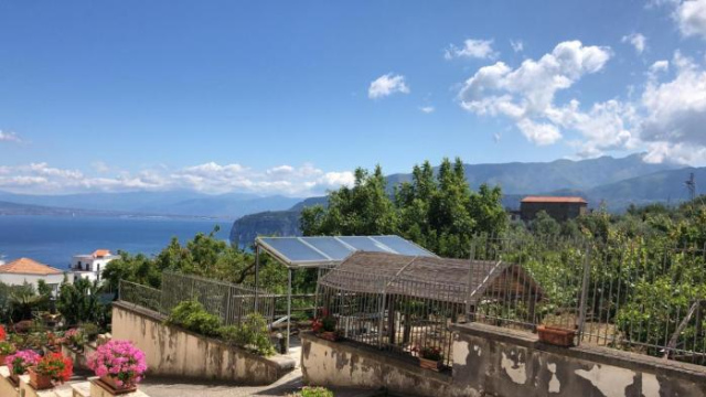 Peace Mother Oasis Bed and Breakfast - Sorrento