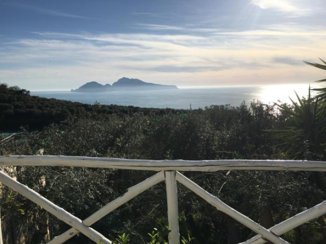Villa Manu - Sorrento