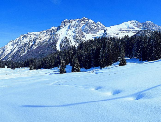 Campiglio Monolocale Cima Tosa - 馬東納迪坎皮利奧