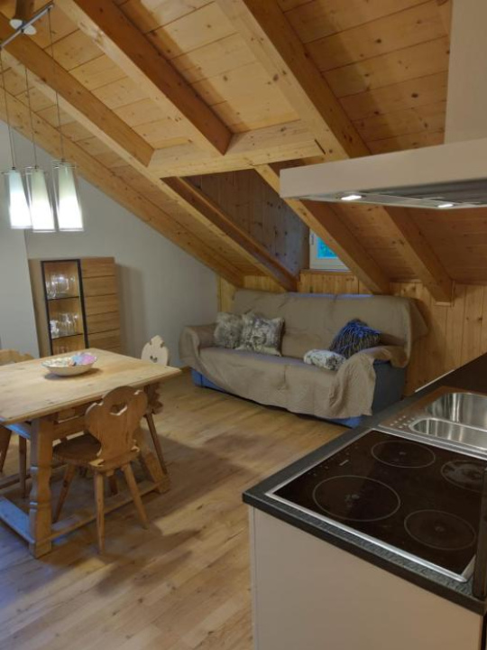 Pian Schiavaneis B&b apartament - 卡納澤伊