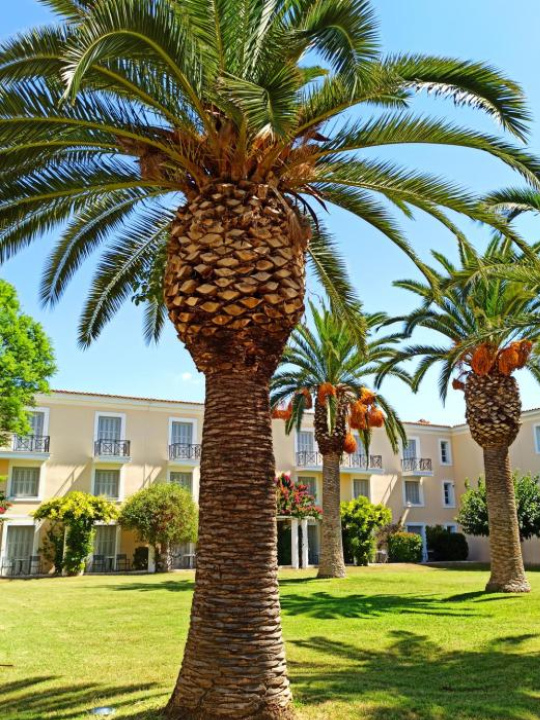 Amalia Hotel Nafplio - Nafplio