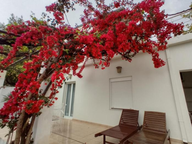 Stamatias Home - Chania