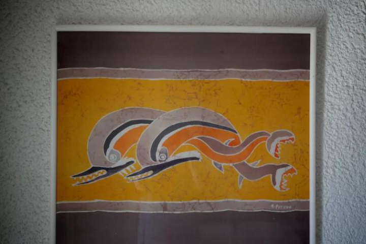 Image Alt