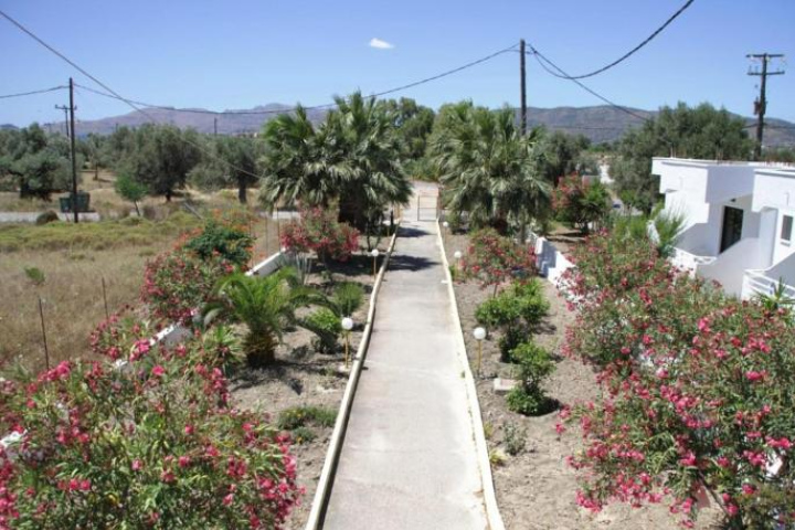 Image Alt