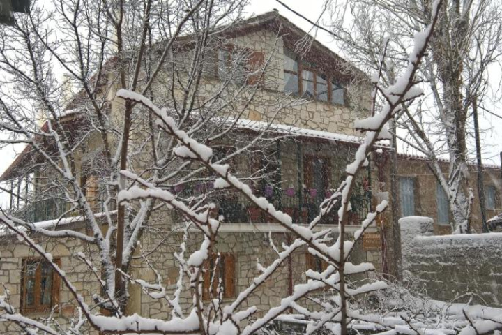 Image Alt