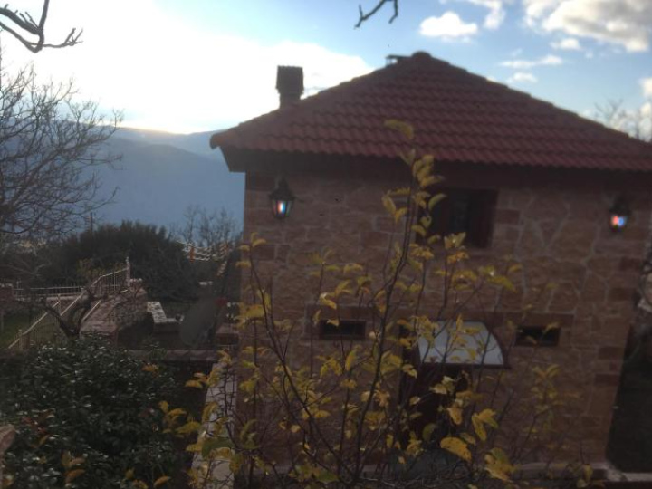 Image Alt