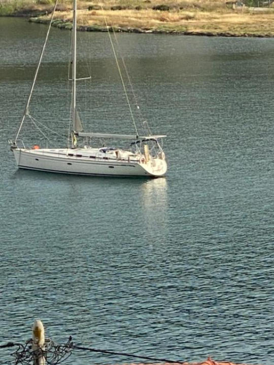 Image Alt