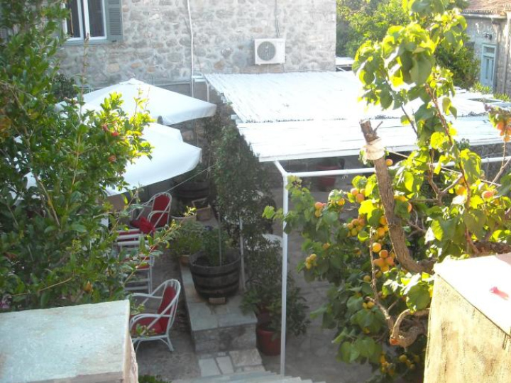 Image Alt