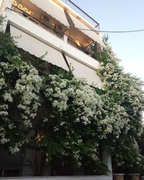 Aphrodite Art Hotel Aegina - 愛琴娜島