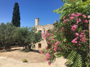 PYRGOS RALLI ESTATE Apartments and Suites