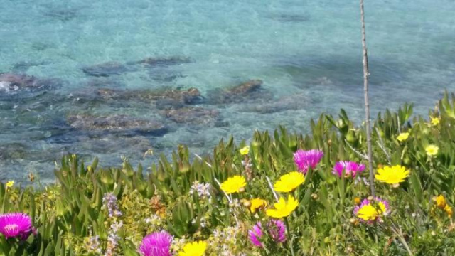 Rachel Hotel - Agia Marina