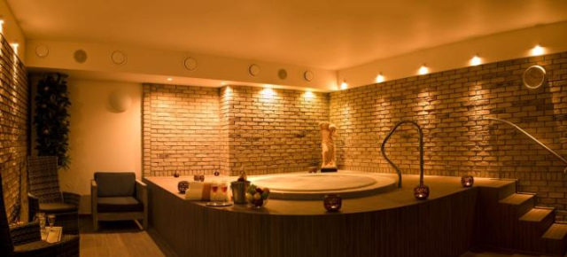 Hotel VÍTKOVA HORA - Karlovy Vary