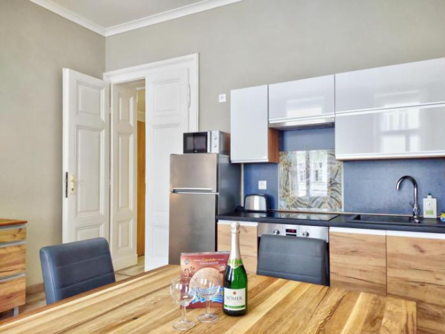 Carlsbad Family Apartment - Karlovy Vary
