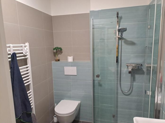 Apartmán Šantova - Olomouc