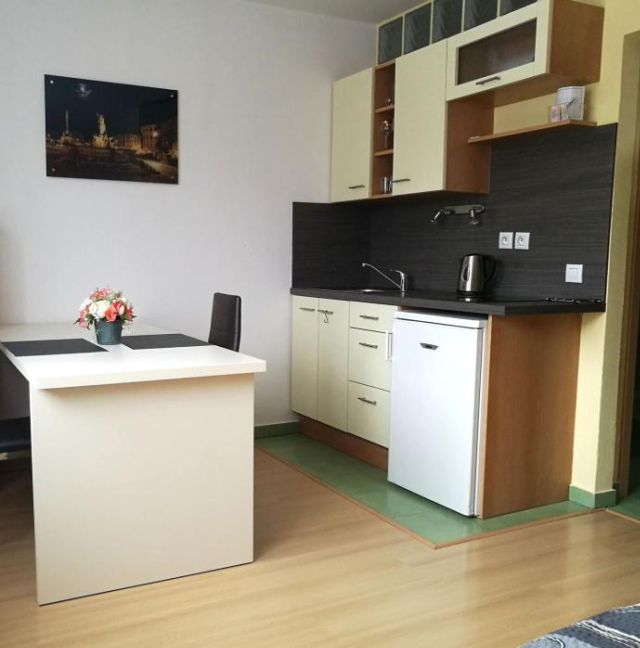 4U Olomouc Apartment - Olomouc