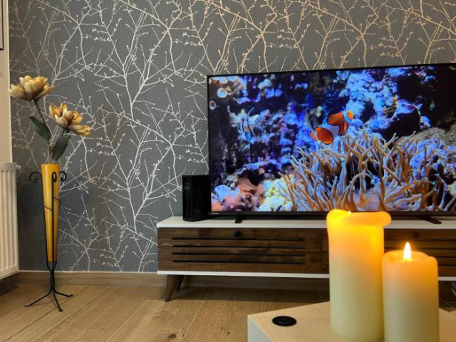 Apartmán U Pelikána - Olomouc