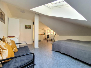 COZY LUXURY APARTMENT IN THE CITY CENTER