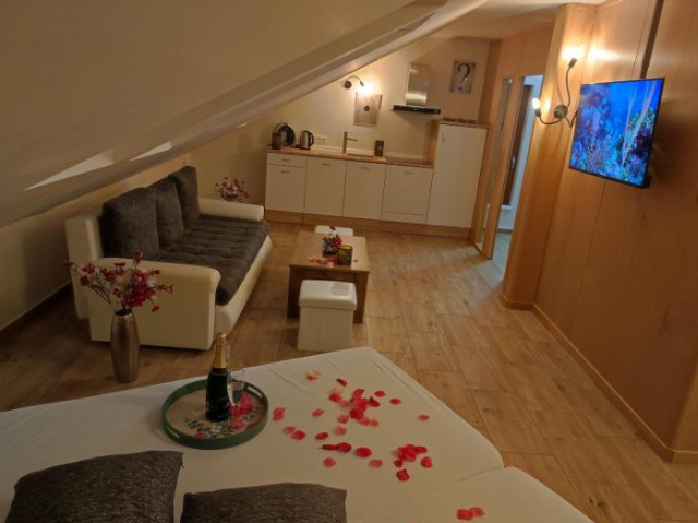 Wellness luxury apartments - Plzen